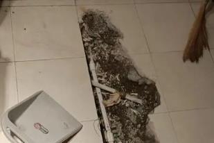 临城卫生间漏水检测电话
